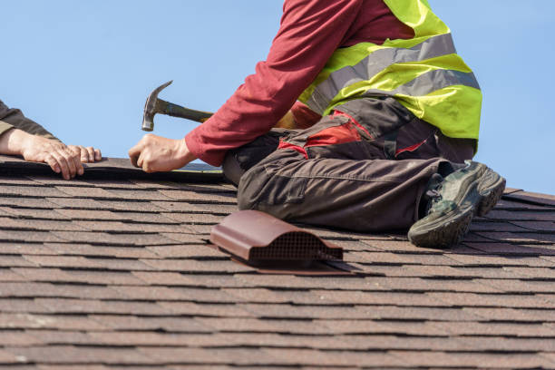 Best Shingle Roofing Installation  in Fisher, IL