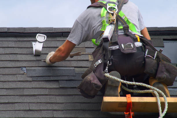 Roof Gutter Cleaning in Fisher, IL