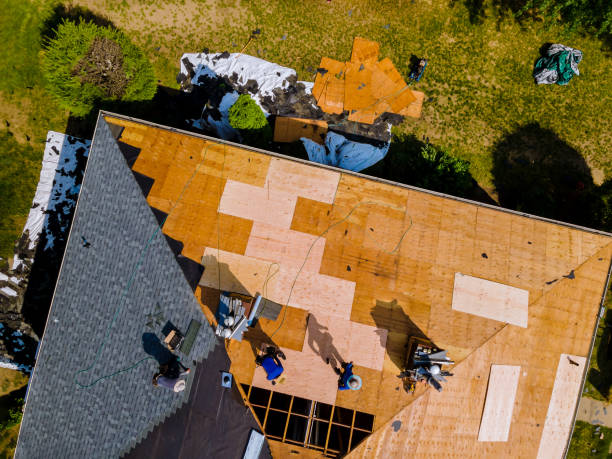 Best Roof Restoration Services  in Fisher, IL