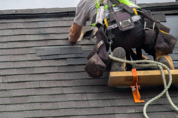 Professional Roofing Contractor in Fisher, IL