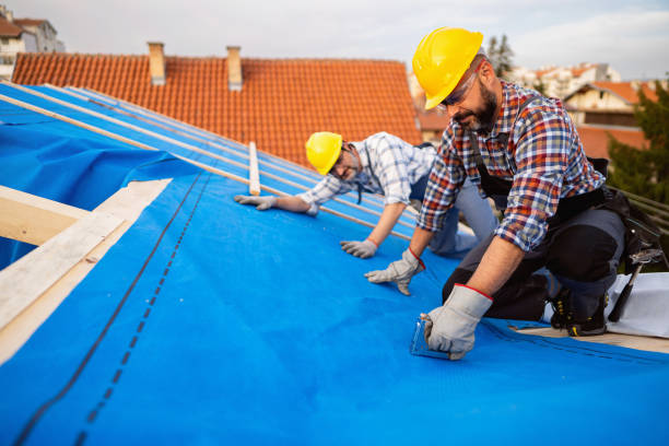 Best Commercial Roofing Services  in Fisher, IL