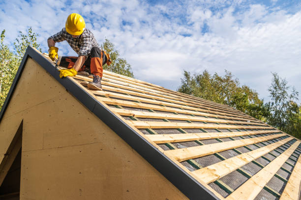Best Metal Roofing Contractor  in Fisher, IL