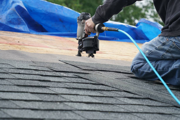 Best Flat Roof Repair Services  in Fisher, IL