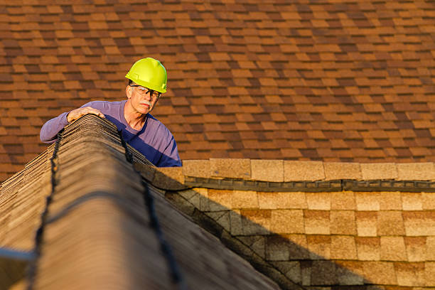 Best Roof Gutter Cleaning  in Fisher, IL