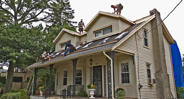 Best Roof Repair Estimates  in Fisher, IL