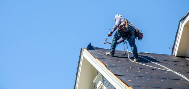 Best Residential Roof Replacement  in Fisher, IL
